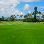 wailua4